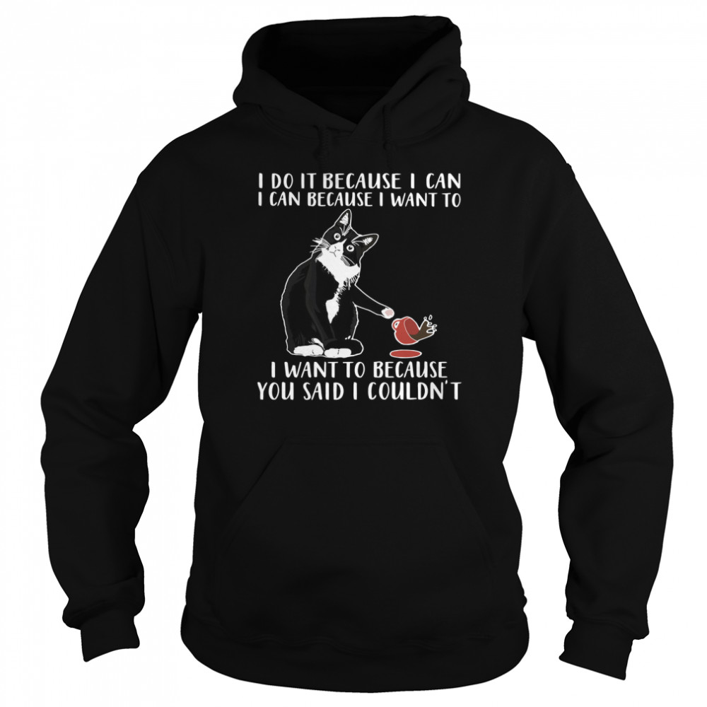 Cat I Do It Because I Can I Can Because I Want To I Want To Because You Said Unisex Hoodie